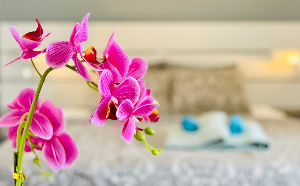 Apartament Estrella San Miguel de Abona Zewnętrze zdjęcie